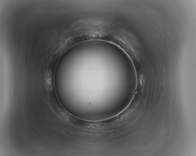 X0000113091396200909041139