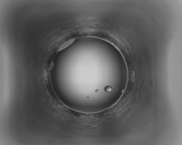 X0000113091397200909041139