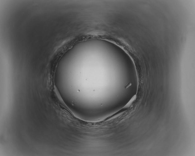 X0000113091398200909041139