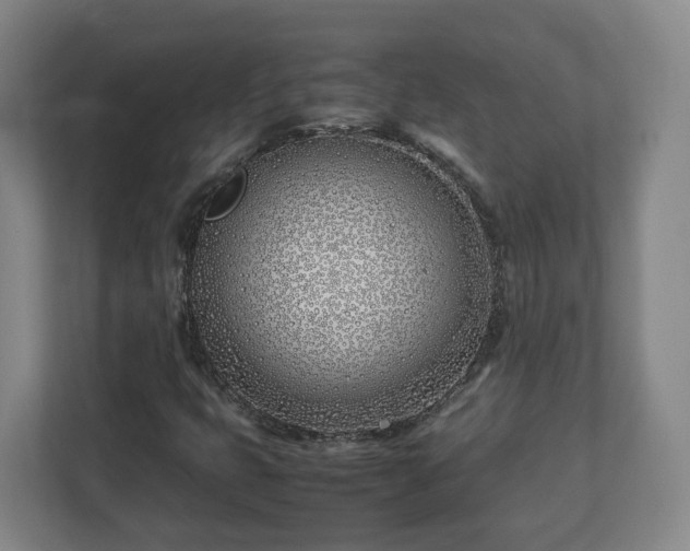 X0000113091399200909041139