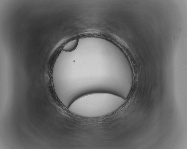 X0000113091400200909041139