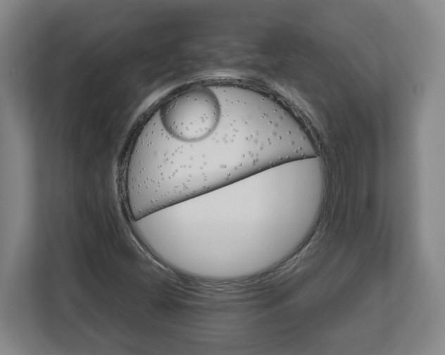 X0000113091404200909041139