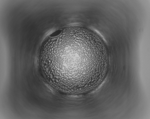 X0000113091405200909041139