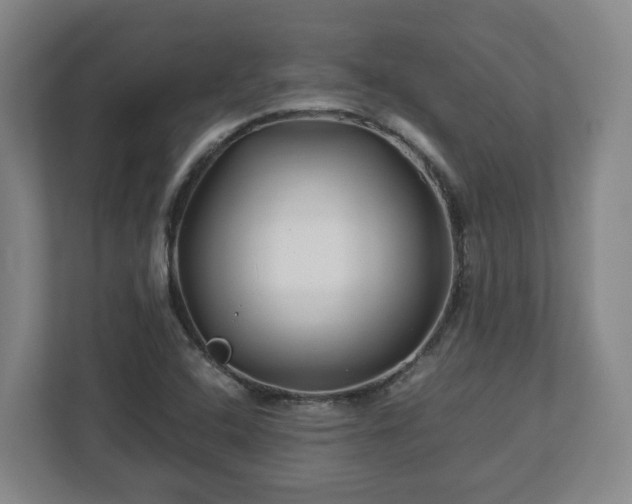 X0000113091408200909041140