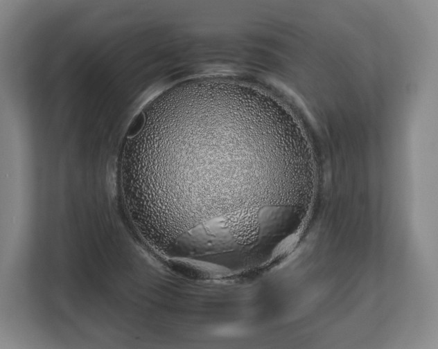 X0000113091409200909041140