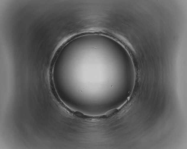 X0000113091412200909041140