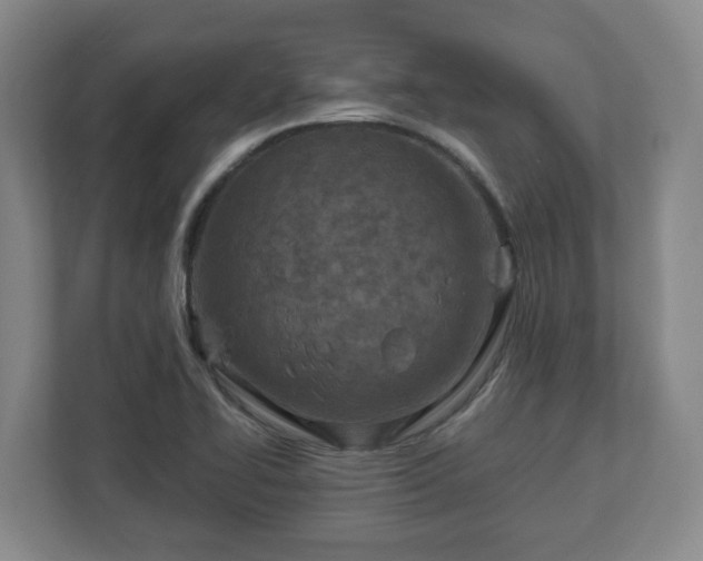 X0000113091414200909041140