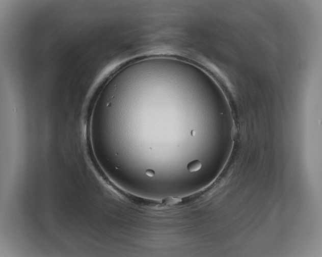X0000113091416200909041140