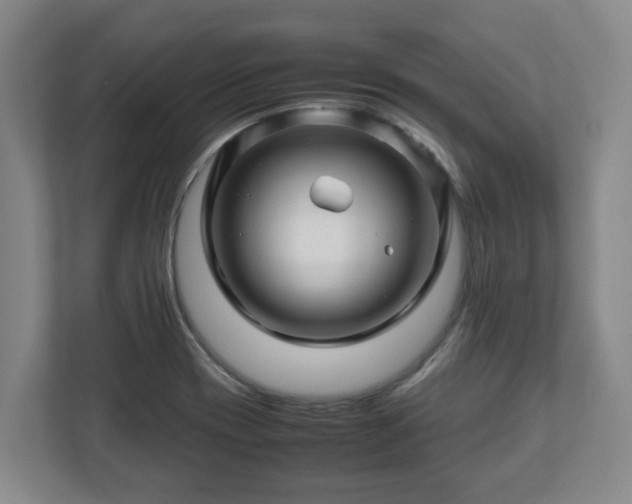 X0000113091417200909041140