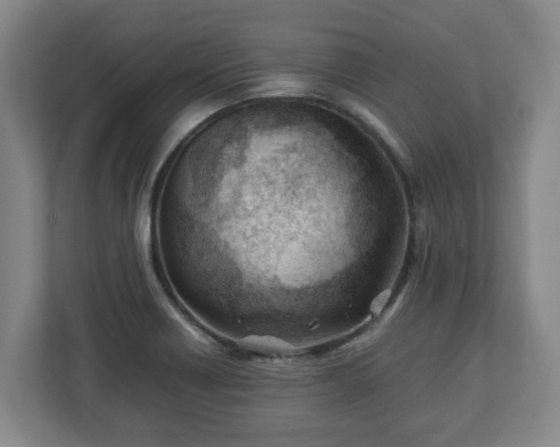X0000113091418200909041140