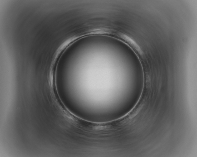 X0000113091419200909041140
