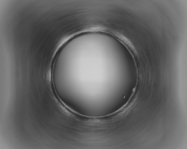 X0000113091420200909041140