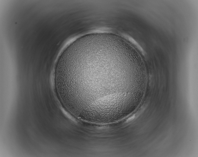 X0000113091421200909041140