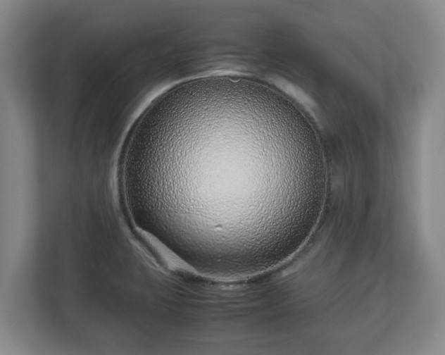 X0000113091423200909041140