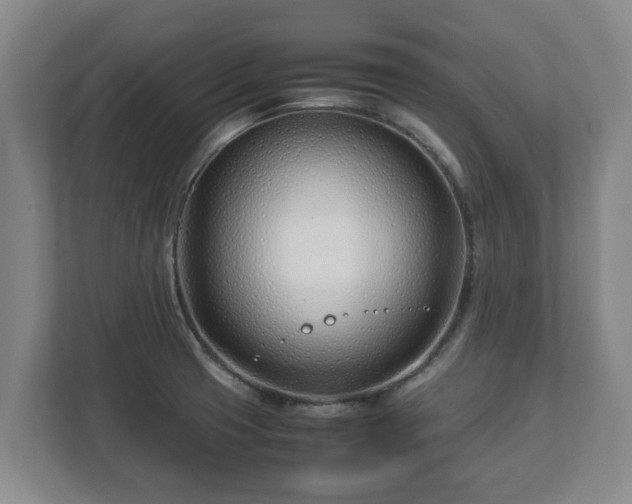 X0000113091425200909041140