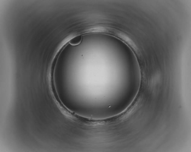 X0000113091426200909041140