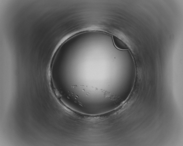 X0000113091428200909041140