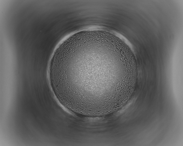 X0000113091429200909041140