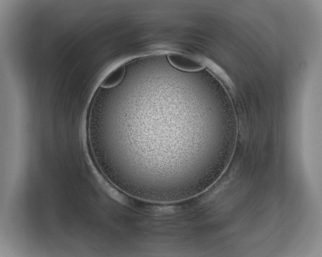 X0000113091431200909041140