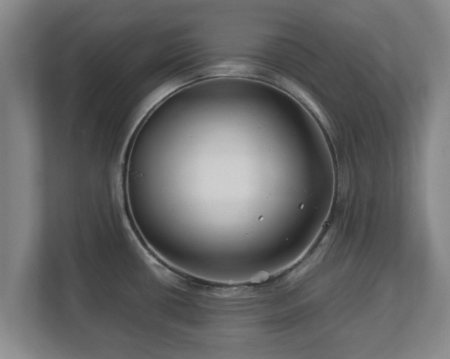 X0000113091434200909041140