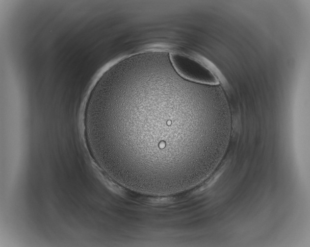 X0000113091435200909041140