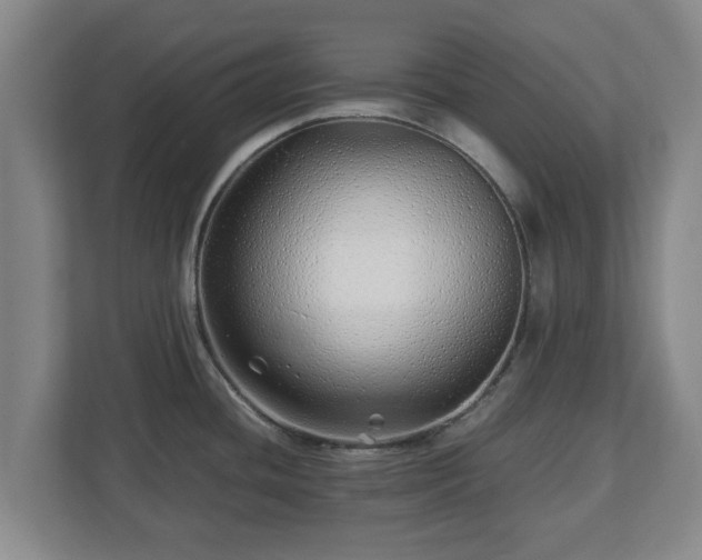 X0000113091436200909041140