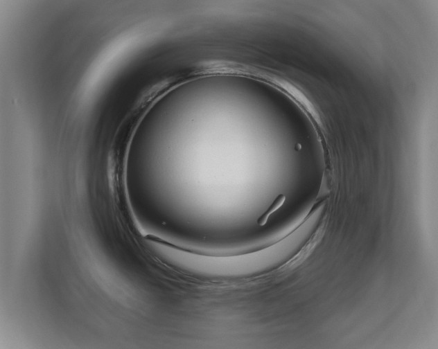 X0000113091438200909041140