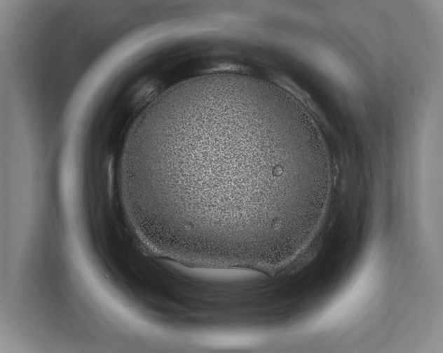 X0000113091439200909041140