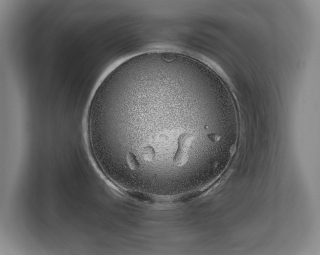 X0000113091440200909041140