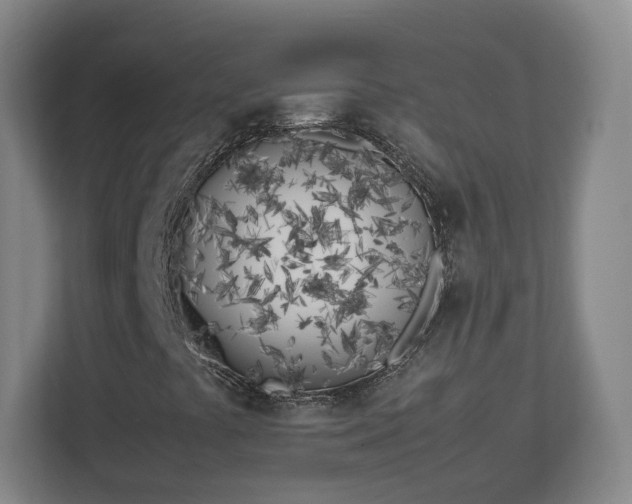 X0000113091441200909041139