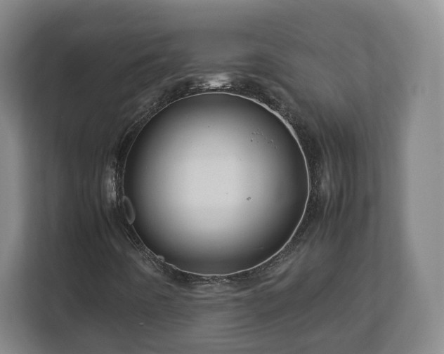 X0000113091442200909041139