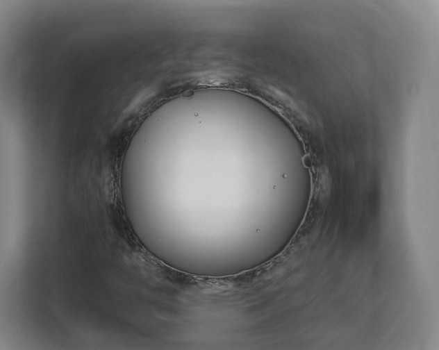 X0000113091446200909041139