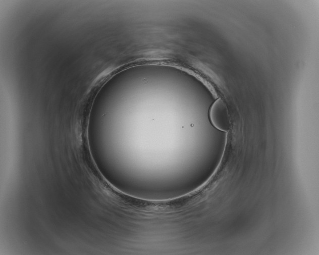 X0000113091451200909041139