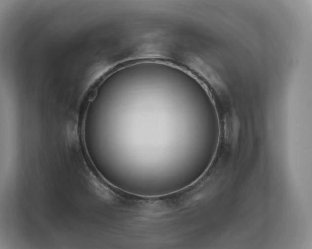 X0000113091452200909041139