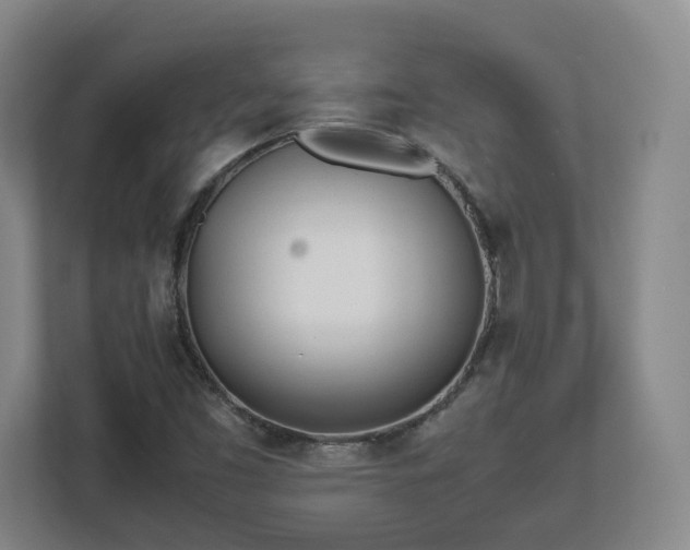 X0000113091453200909041139
