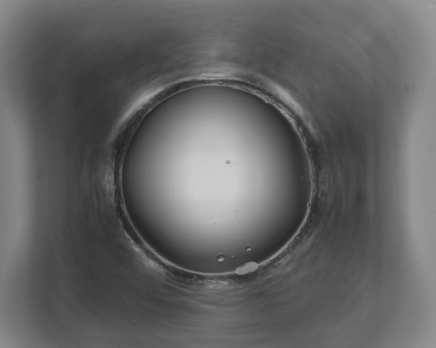 X0000113091456200909041139