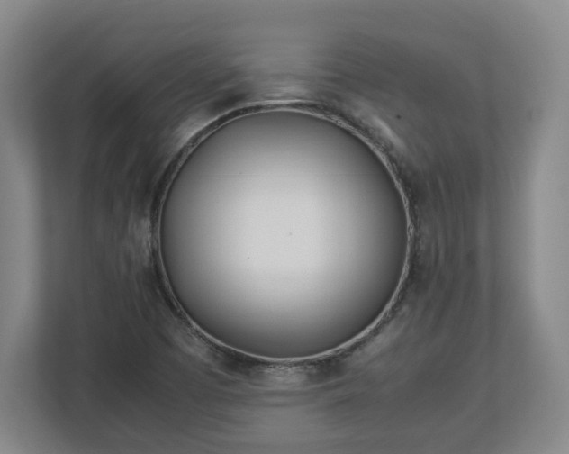 X0000113091457200909041139
