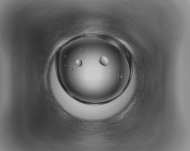X0000113091461200909041139