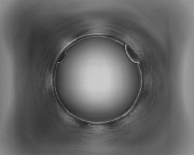 X0000113091465200909041139