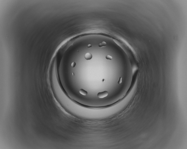 X0000113091468200909041139