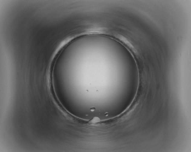 X0000113091469200909041139