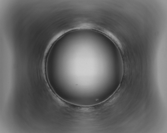 X0000113091480200909041139