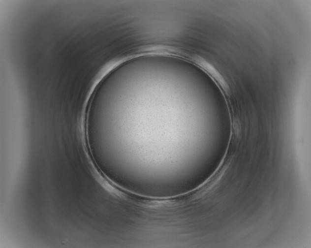 X0000113091482200909041139