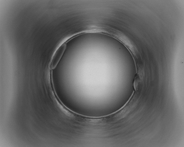 X0000113091484200909041139