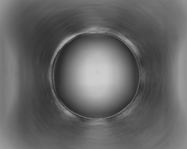 X0000113091486200909041139