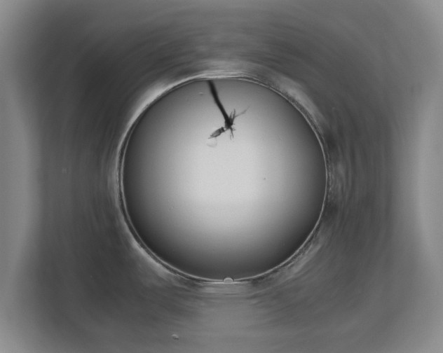 X0000113091487200909041139