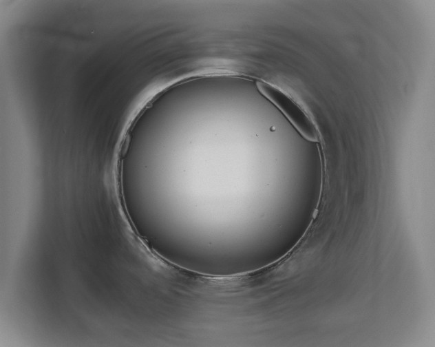X0000113091488200909041139