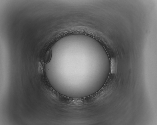 X0000113091491200909041138