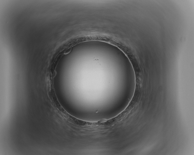 X0000113091493200909041138