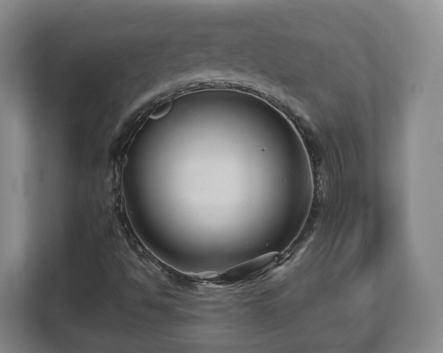 X0000113091494200909041138